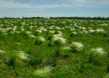 Путешествие по долине Тузлова