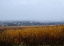 Берданосовка, осень, займище