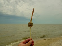 Весна на Беглицкой косе