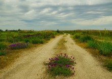 Весна на Беглицкой косе