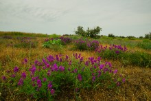 Весна на Беглицкой косе