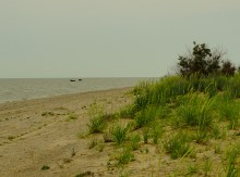 Весна на Беглицкой косе