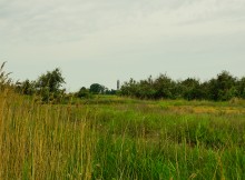 Весна на Беглицкой косе