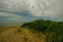 Весна на Беглицкой косе