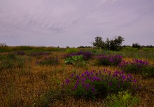 Весна на Беглицкой косе