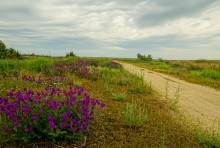 Весна на Беглицкой косе