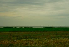 Весна на Беглицкой косе