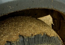 Весна на Беглицкой косе