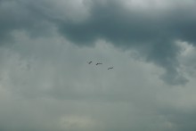 Весна на Беглицкой косе