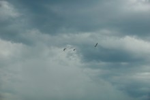 Весна на Беглицкой косе