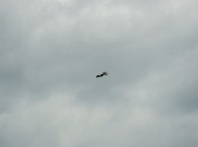 Весна на Беглицкой косе