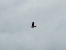 Весна на Беглицкой косе