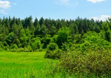 Колодец - журавль у хутора Уляшкин