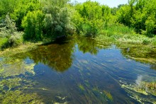 Меловые и песчаные горы у реки Глубокой в Каменском районе и находки зубов древних акул
