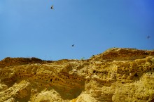 Меловые и песчаные горы у реки Глубокой в Каменском районе и находки зубов древних акул