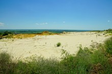 Меловые и песчаные горы у реки Глубокой в Каменском районе и находки зубов древних акул