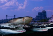 Меловые и песчаные горы у реки Глубокой в Каменском районе и находки зубов древних акул