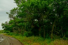 Золотая экономия Лакиеров и замок на берегу Таганрогского залива.