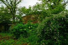 Золотая экономия Лакиеров и замок на берегу Таганрогского залива.