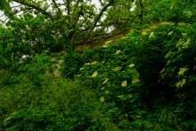 Золотая экономия Лакиеров и замок на берегу Таганрогского залива.