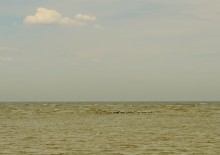 Острова в Азовском море