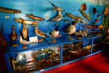 Краеведческий музей в селе Глафировка