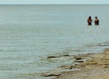 Берег Азовского моря у хутора Рожок, и охота водяных ужей. 