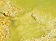 Берег Азовского моря у хутора Рожок, и охота водяных ужей. 