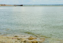 Берег Азовского моря у хутора Рожок, и охота водяных ужей. 