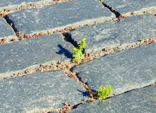 Кронштадт - история России 