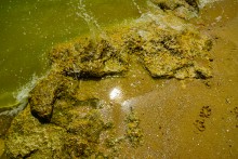 Хутор Рожок