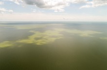 Хутор Рожок