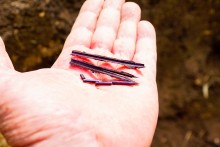 Поисковый отряд Родина