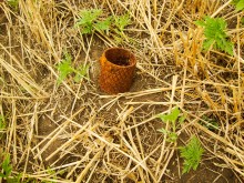 Поисковый отряд Родина