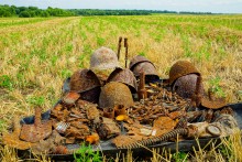 Поисковый отряд Родина