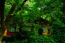 Улица Казахская