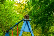 Улица Казахская