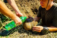 Поиск отряд Родина