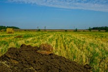 Поиск отряд Родина