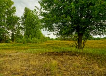 История станицы Краснодонецкой на Северском Донце