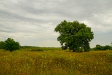 История станицы Краснодонецкой на Северском Донце
