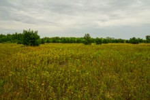 История станицы Краснодонецкой на Северском Донце