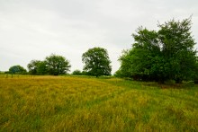 История станицы Краснодонецкой на Северском Донце