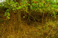 История станицы Краснодонецкой на Северском Донце