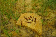 История станицы Краснодонецкой на Северском Донце