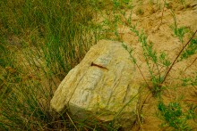 История станицы Краснодонецкой на Северском Донце