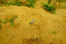 История станицы Краснодонецкой на Северском Донце