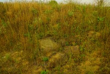 История станицы Краснодонецкой на Северском Донце