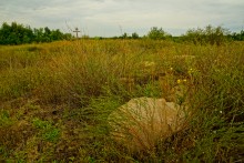 История станицы Краснодонецкой на Северском Донце