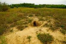 История станицы Краснодонецкой на Северском Донце